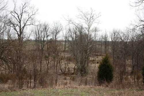 Property photo 19 - ABSOLUTE AUCTION - 298 Acres Offered in 4 Tracts